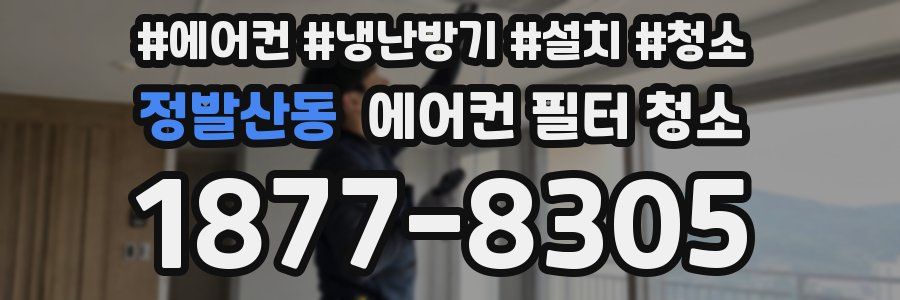 정발산동 에어컨 필터 청소