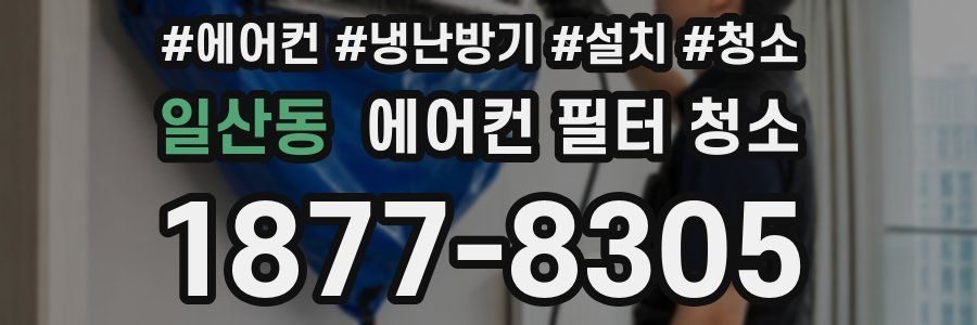 일산동 에어컨 필터 청소