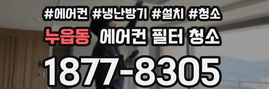 누읍동 에어컨 필터 청소