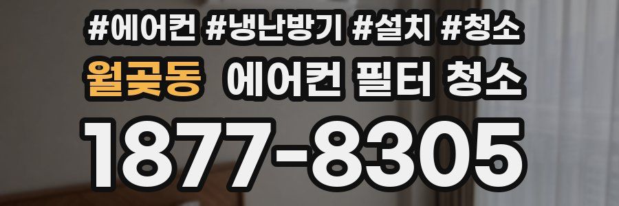월곶동 에어컨 필터 청소