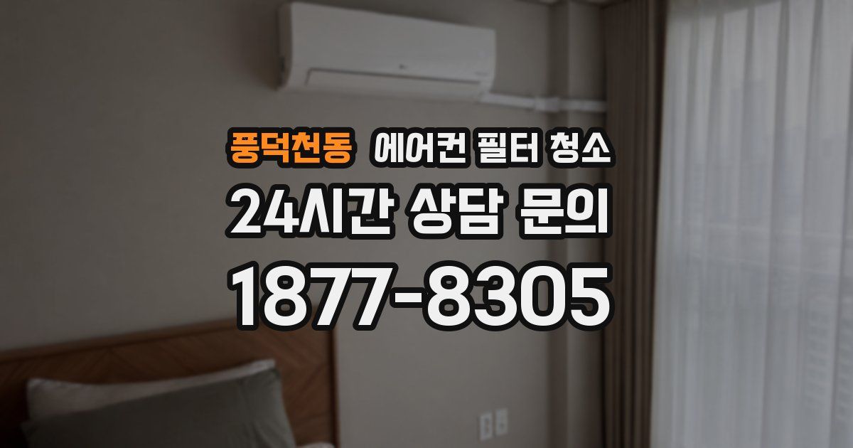 풍덕천동 에어컨 필터 청소