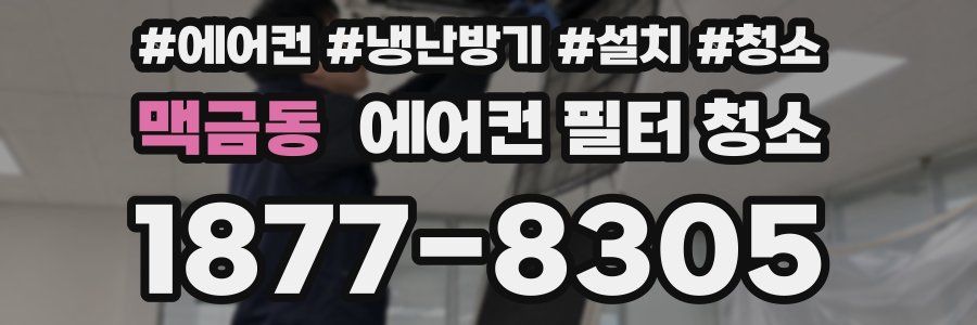 맥금동 에어컨 필터 청소