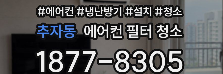 추자동 에어컨 필터 청소