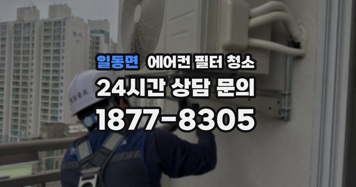일동면 에어컨 필터 청소