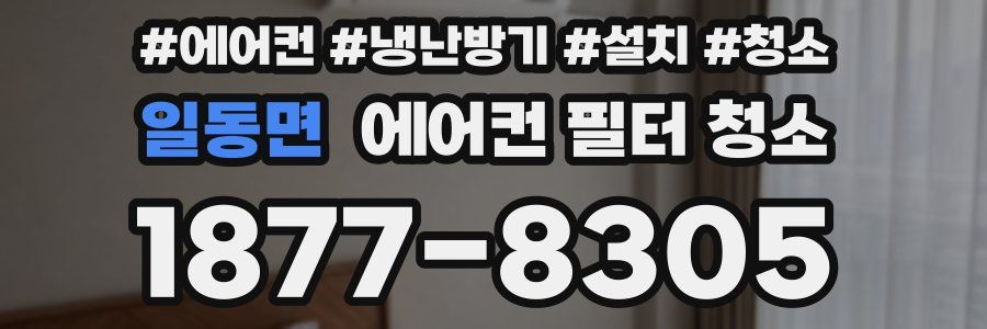 일동면 에어컨 필터 청소