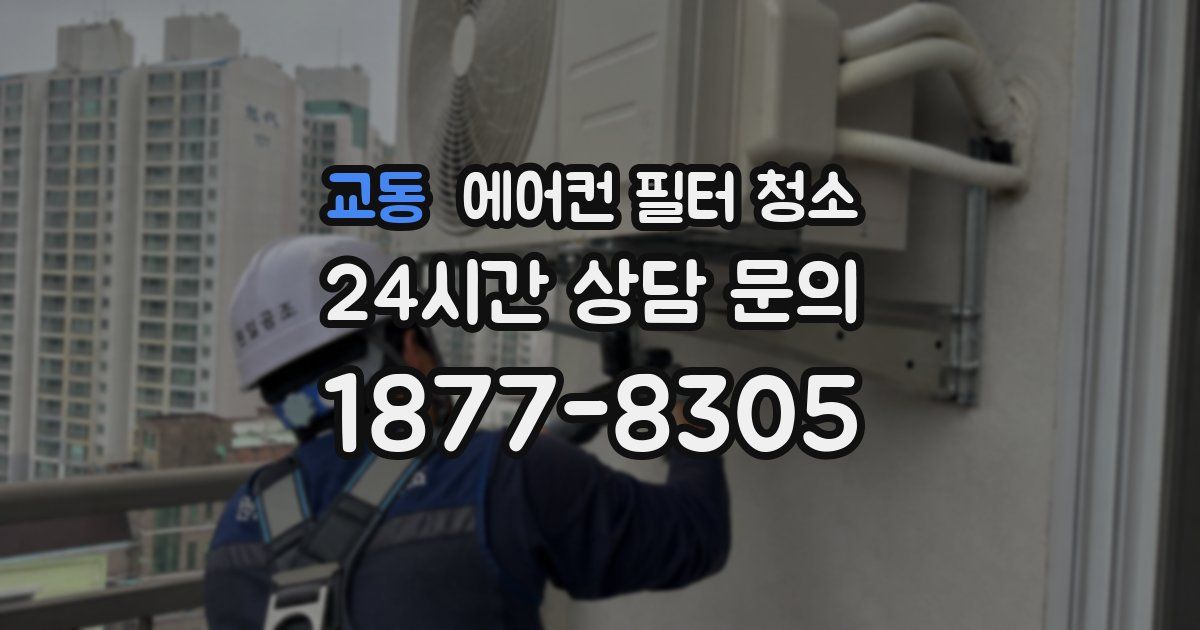 교동 에어컨 필터 청소