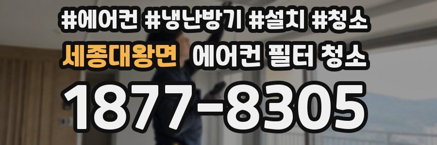세종대왕면 에어컨 필터 청소