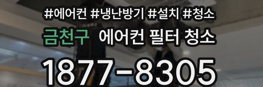 금천구 에어컨 필터 청소