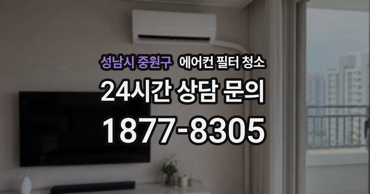 성남시 중원구 에어컨 필터 청소