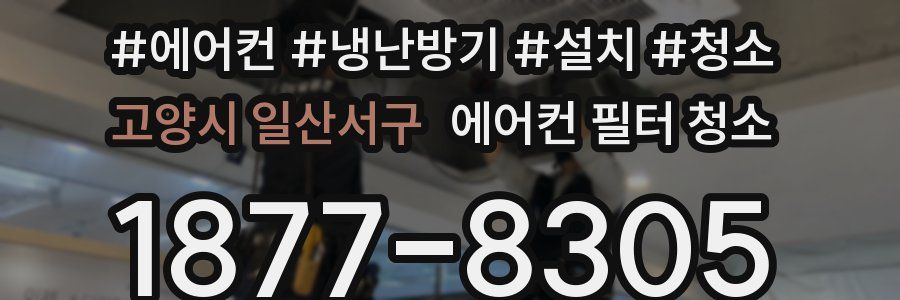 고양시 일산서구 에어컨 필터 청소
