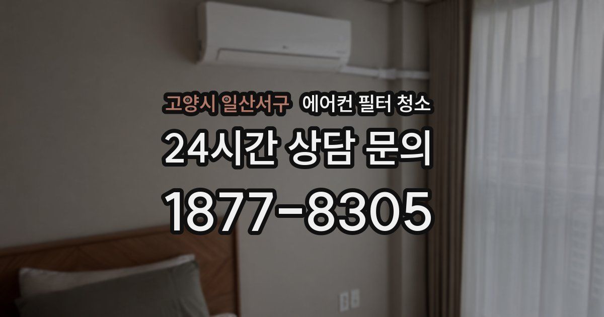 고양시 일산서구 에어컨 필터 청소