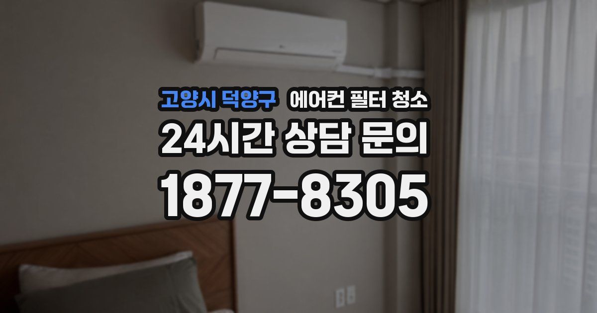 고양시 덕양구 에어컨 필터 청소