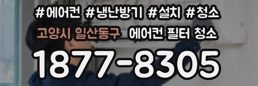 고양시 일산동구 에어컨 필터 청소