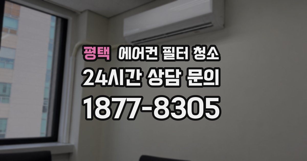 평택 에어컨 필터 청소
