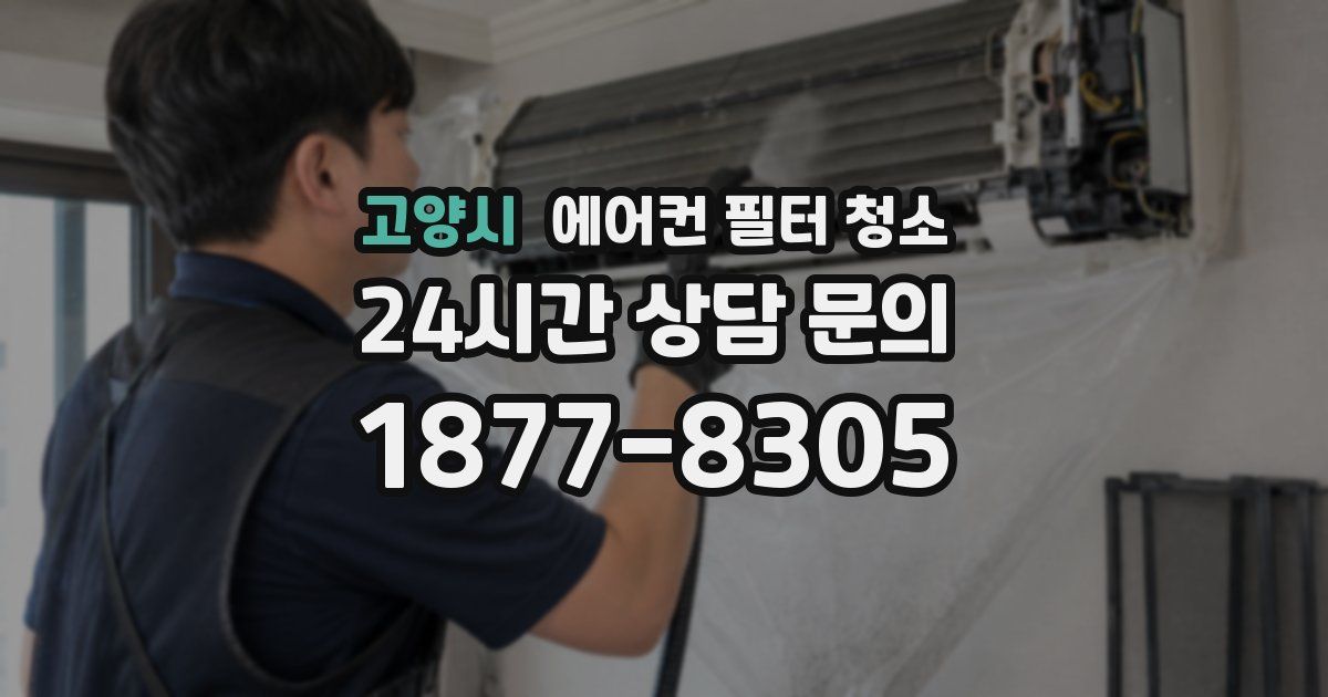 고양시 에어컨 필터 청소