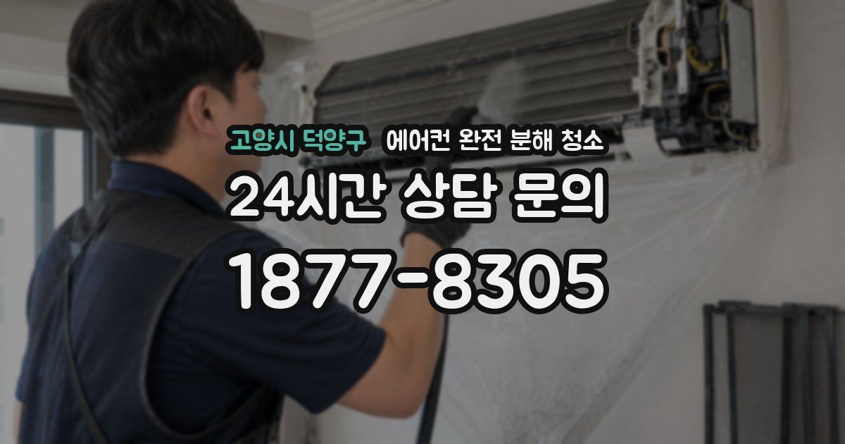 고양시 덕양구 에어컨 완전 분해 청소