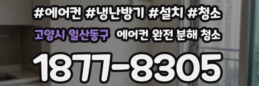 고양시 일산동구 에어컨 완전 분해 청소