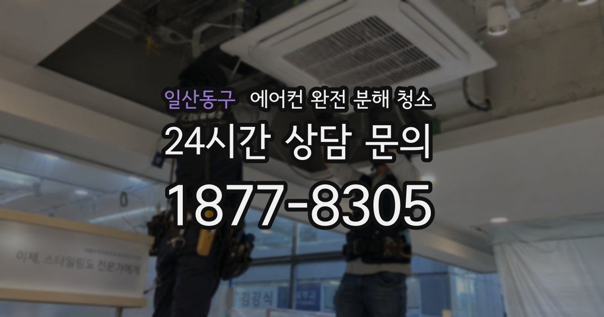 일산동구 에어컨 완전 분해 청소