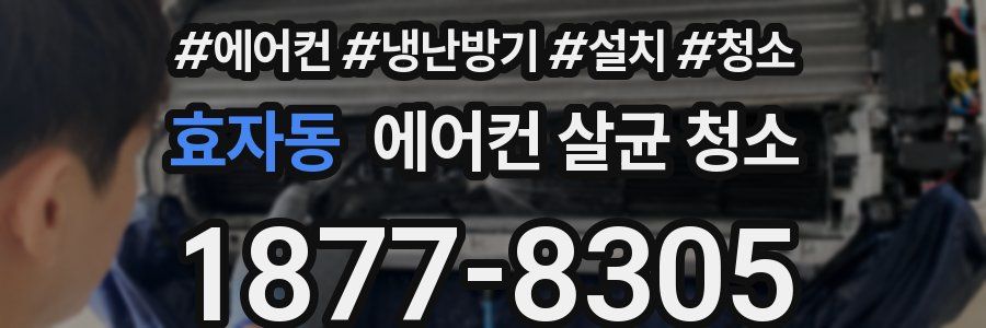효자동 에어컨 살균 청소