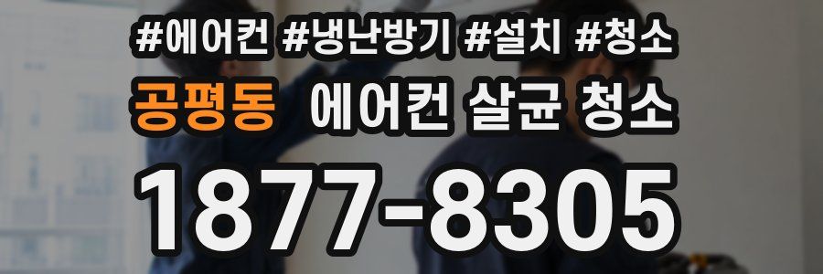 공평동 에어컨 살균 청소