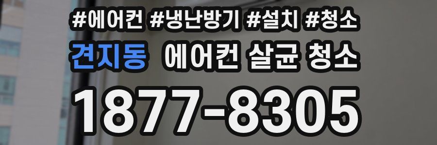 견지동 에어컨 살균 청소