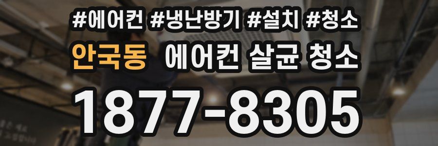 안국동 에어컨 살균 청소
