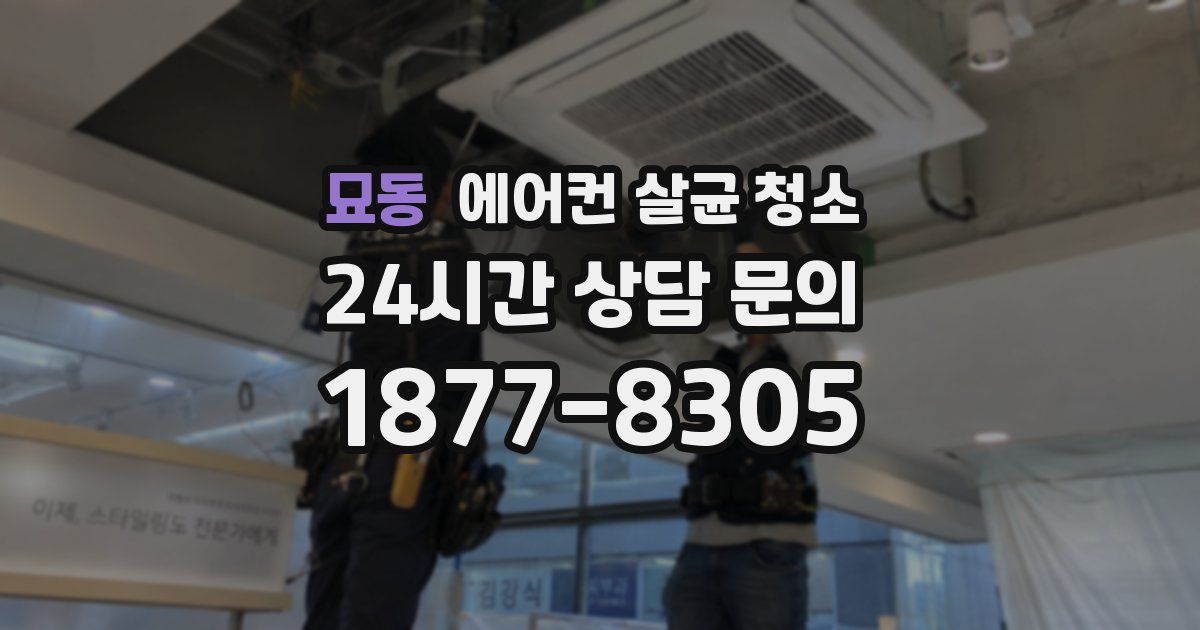 묘동 에어컨 살균 청소