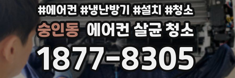 숭인동 에어컨 살균 청소