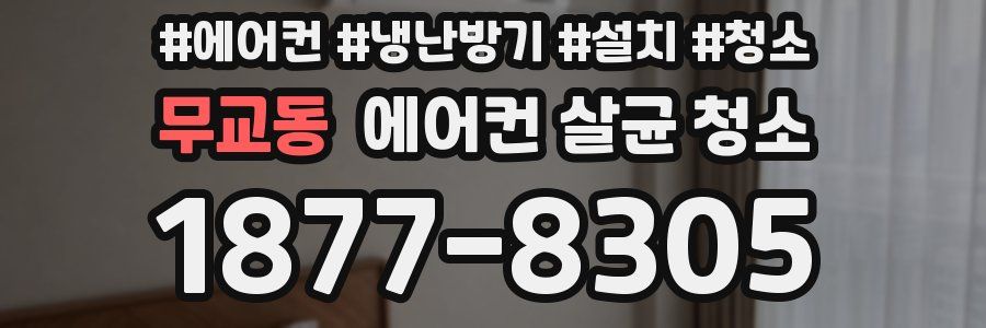 무교동 에어컨 살균 청소