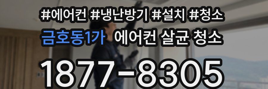 금호동1가 에어컨 살균 청소