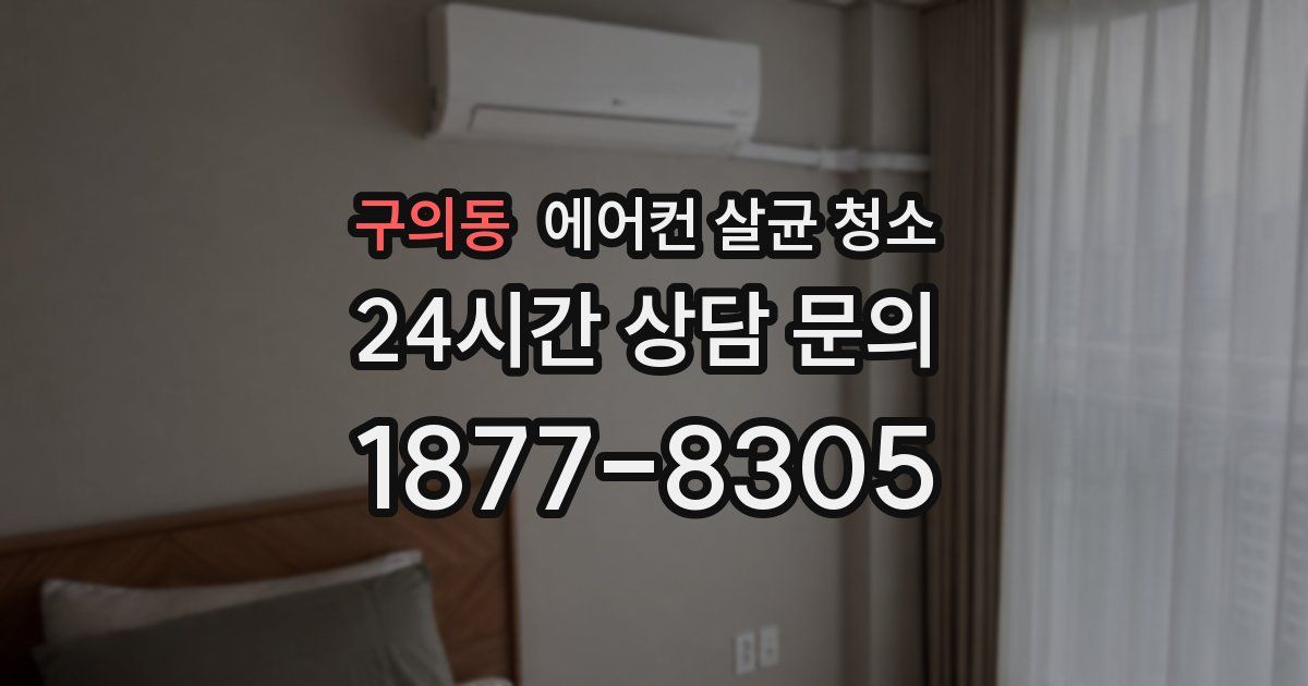 구의동 에어컨 살균 청소