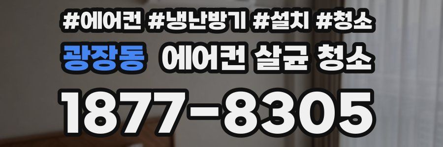 광장동 에어컨 살균 청소