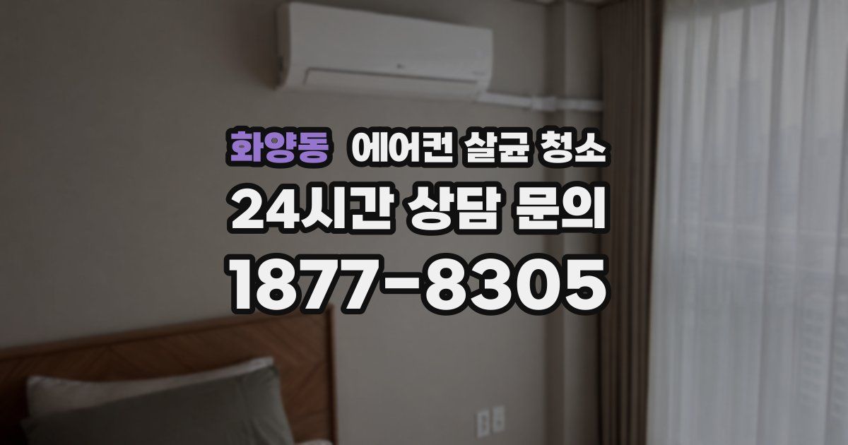 화양동 에어컨 살균 청소