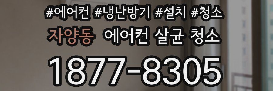자양동 에어컨 살균 청소