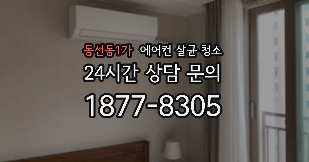 동선동1가 에어컨 살균 청소