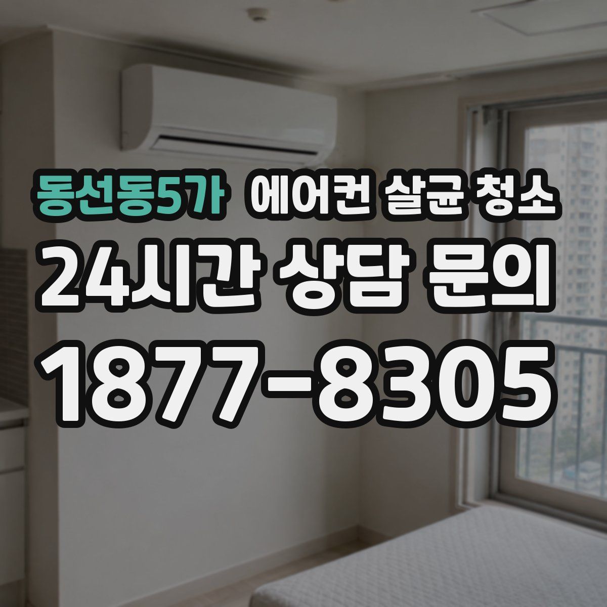 동선동5가 에어컨 살균 청소