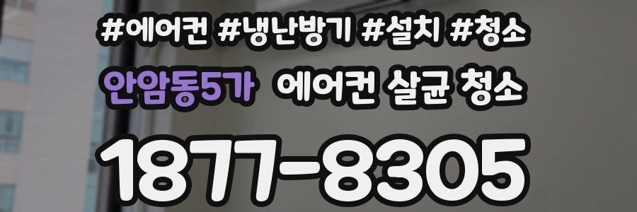 안암동5가 에어컨 살균 청소