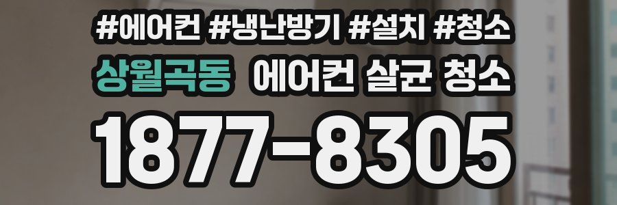 상월곡동 에어컨 살균 청소