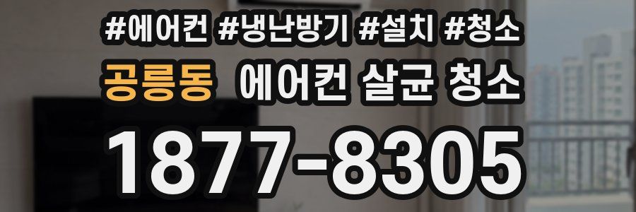 공릉동 에어컨 살균 청소