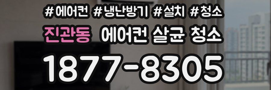 진관동 에어컨 살균 청소