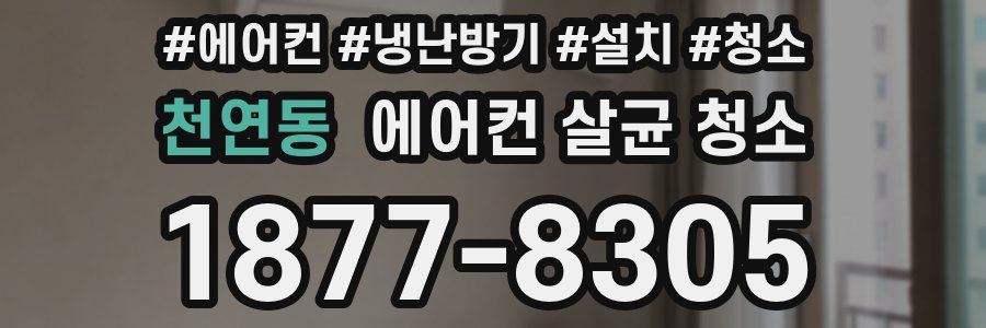 천연동 에어컨 살균 청소