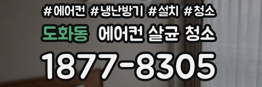 도화동 에어컨 살균 청소
