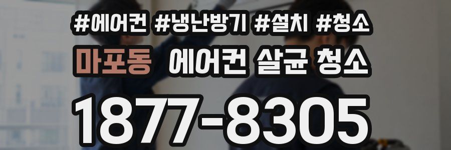 마포동 에어컨 살균 청소