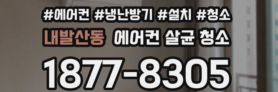 내발산동 에어컨 살균 청소