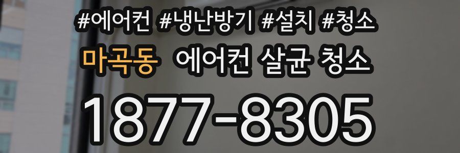 마곡동 에어컨 살균 청소