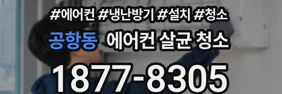 공항동 에어컨 살균 청소