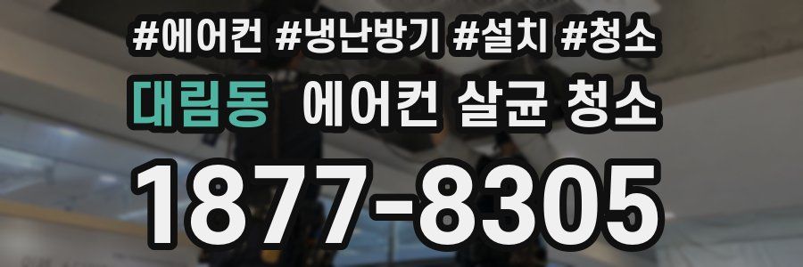 대림동 에어컨 살균 청소
