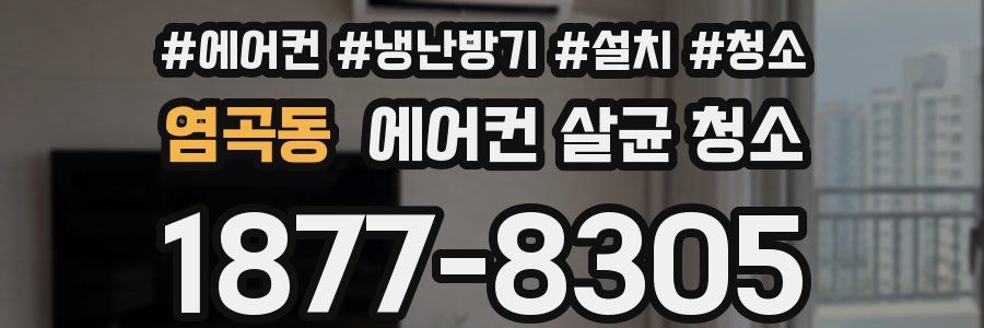염곡동 에어컨 살균 청소