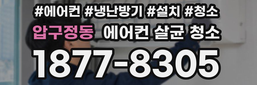 압구정동 에어컨 살균 청소