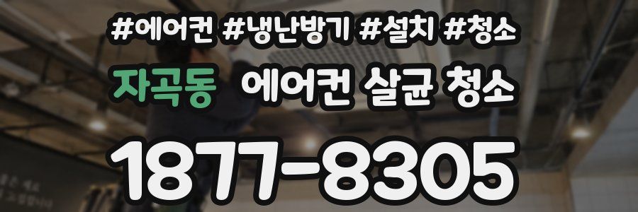 자곡동 에어컨 살균 청소